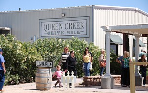 Queen Creel Olive Mill AZ