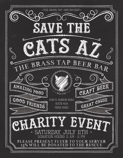 Post image for The Brass Tap will donate 15% of your Saturday check to Gilbert cat rescue