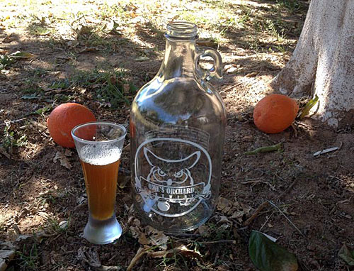Post image for Owls Orchard, Arizona’s smallest brewery, closes in Queen Creek