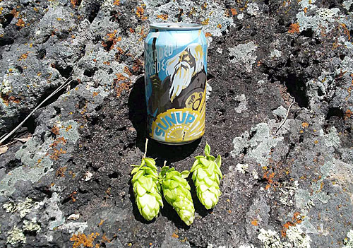 Post image for Today: SunUp releases DIPA brewed with AZ wild hops